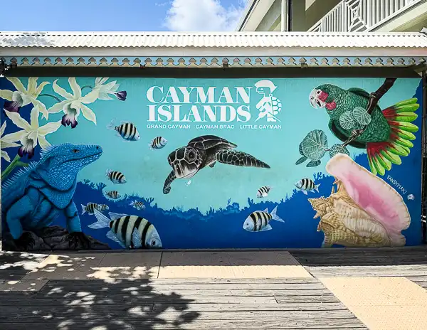 Colorful mural in George Town, Grand Cayman featuring marine life and tropical wildlife with the words “Cayman Islands” across the top.