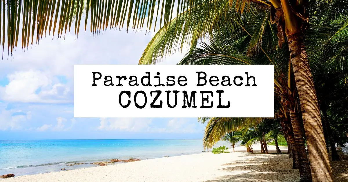 Spend a Fun Day at Paradise Beach in Cozumel, Mexico