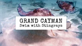 featured blog image | swimming with stingrays in grand cayman
