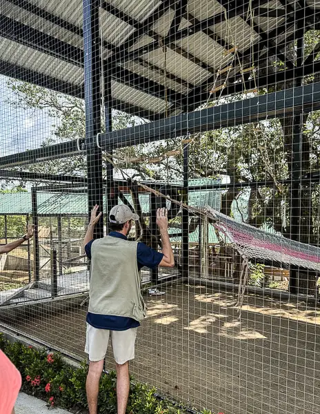 Handler speaking beside the sloth and monkey enclosure at the Monkey and Sloth Hangout in Roatán, Honduras.
