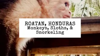 pinterest marketing pin | roatan honduras cruise port