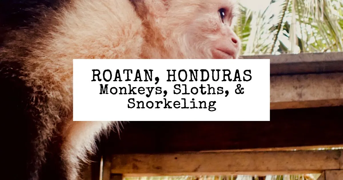 Roatan, Honduras: Monkeys, Sloths, and Snorkeling