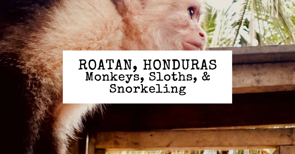 pinterest marketing pin | roatan honduras cruise port