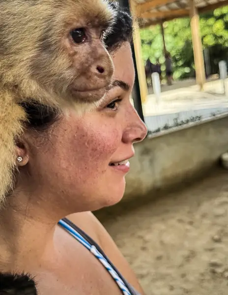 Close-up of a capuchin monkey sitting on Kathy's shoulder at the Monkey and Sloth Hangout in Roatán, Honduras.