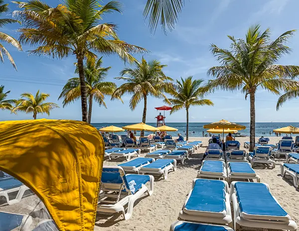 Rows of beach loungers with yellow umbrellas on the sand at Harvest Caye, Belize, Norwegian Cruise Line’s private island.