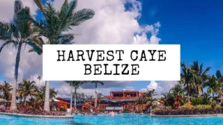 featured blog image | harvest caye belize