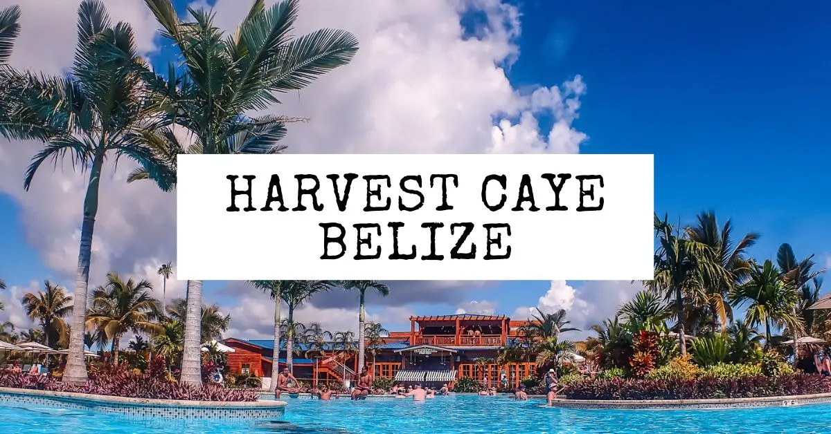 featured blog image | harvest caye belize