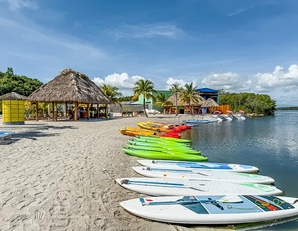 Colorful kayaks and paddleboards lined up along the shoreline at Harvest Caye, Belize, part of Norwegian Cruise Line’s private island water sports area.