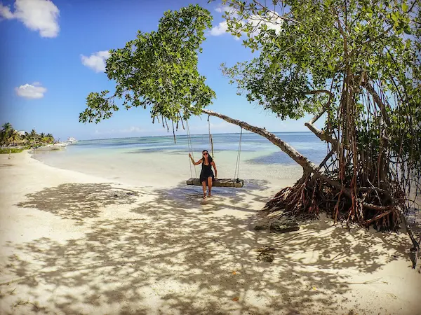 A tranquil beach scene with kathy on a swing hanging from a seaside tree, clear blue skies above, and the calm ocean in the background.