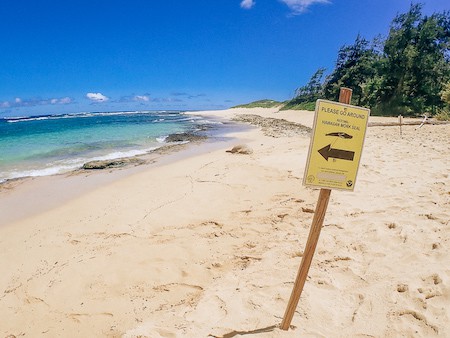 Sign to respect monk seals sunbathing on beach