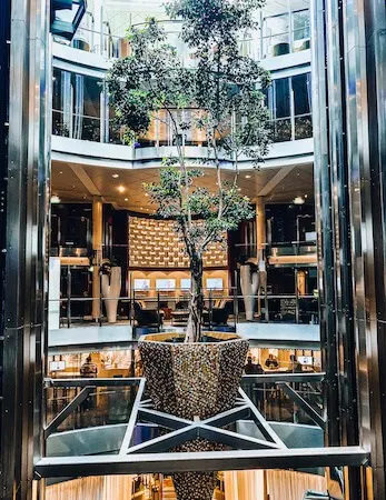 Tree planted and hanging high in the atrium of a cruise ship