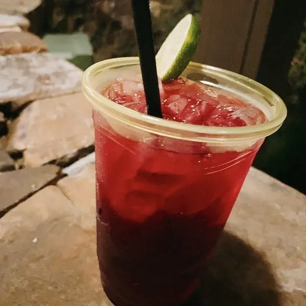 Festival of Holidays at Disneyland Cranberry Sangria • TastyItinerary.com