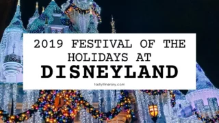 blog featured image | holidays at disneyland