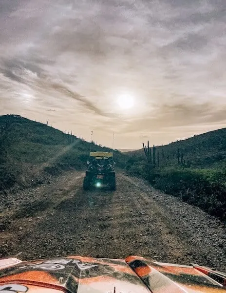 Driving out of Arikoki National Park