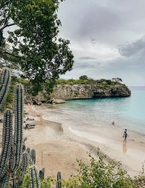 Sandy beach shore from afar with a man walking in with scuba gear, a peek of cacti and cliff in distance