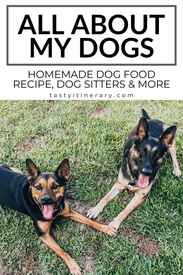 Dog Resources - homemade dog food recipe, dog sitters, dog toys 