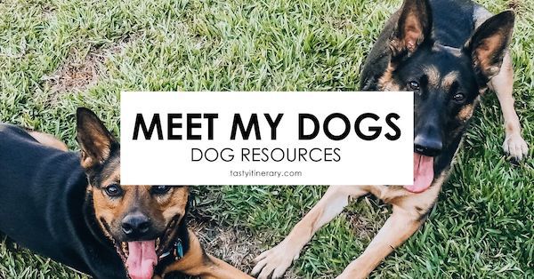 dog resources | featured image