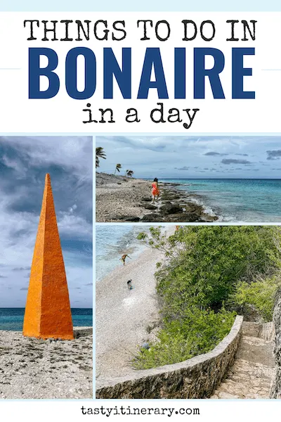 pinterest marketing pin | a day in bonaire