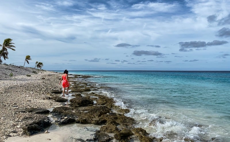 Exploring Pink Beach in Bonaire, beautiful coastline, hard coral and palm trees.