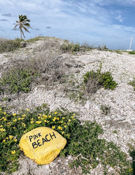 Yellow rocks with the names of the beach mark each beach location in Bonaire. Pink Beach is written on this yellow rock. 