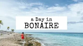 blog featured image | things to do in bonaire