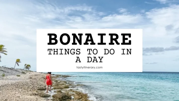 blog featured image | things to do in bonaire