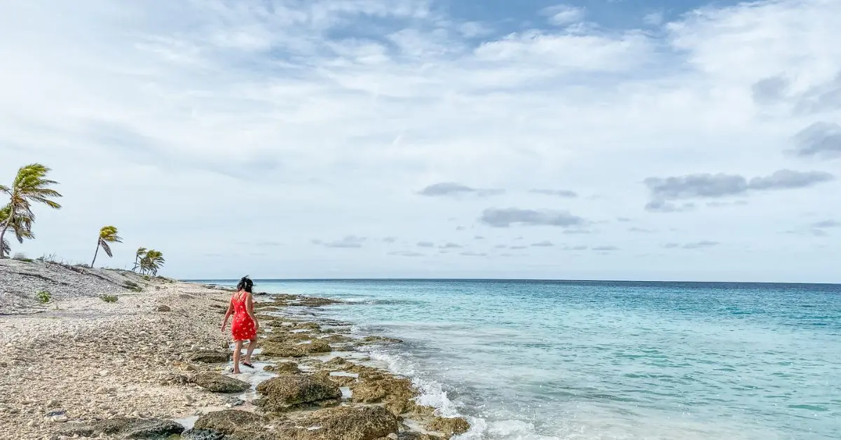 Explore the Top Things to Do in Bonaire in a Day on a Cruise