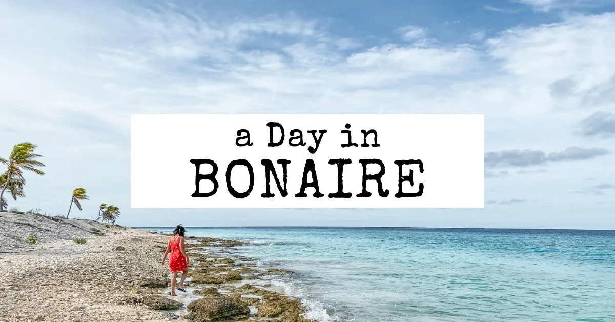 blog featured image | things to do in bonaire