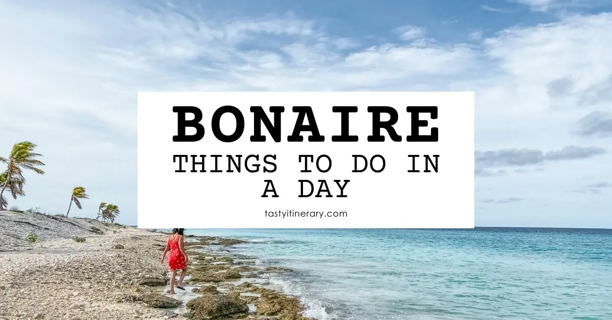 Top Things to Do in Bonaire in a Day