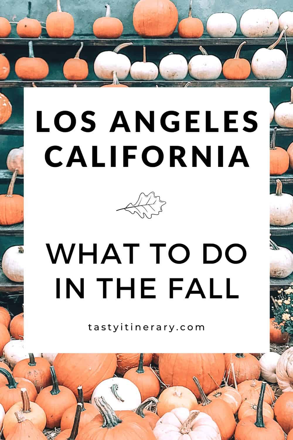 Fall things to do in Los Angeles