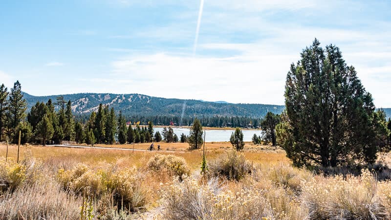 A scenic view of Big Bear Lake, surrounded by golden grasses, evergreen trees, and distant mountains under a bright blue sky.