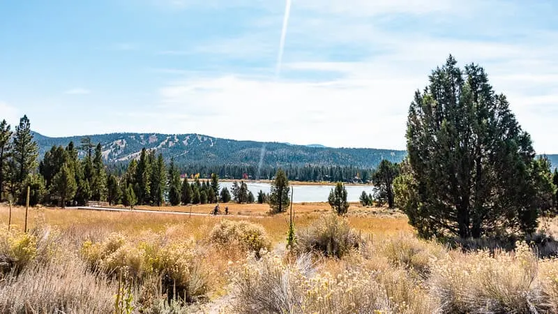 A scenic view of Big Bear Lake, surrounded by golden grasses, evergreen trees, and distant mountains under a bright blue sky.