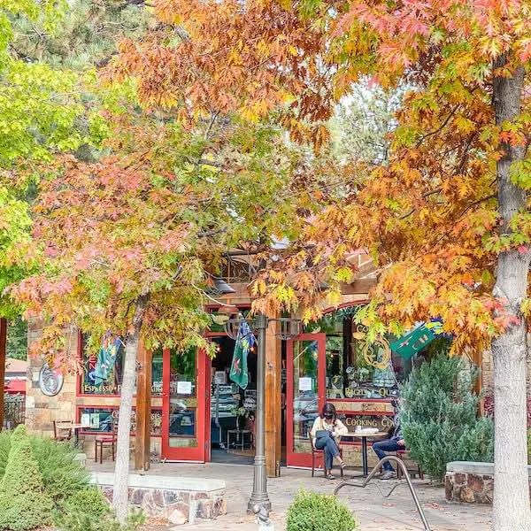 fall foliage surround store