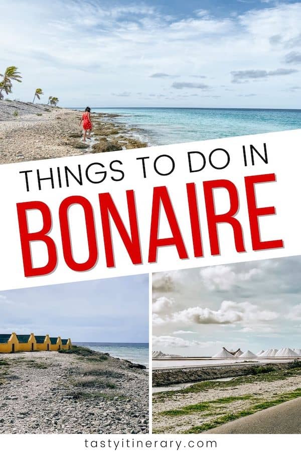 Things to do in bonaire | pinterest marketing image