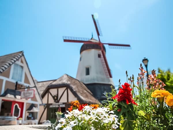 spring flowers and windmill