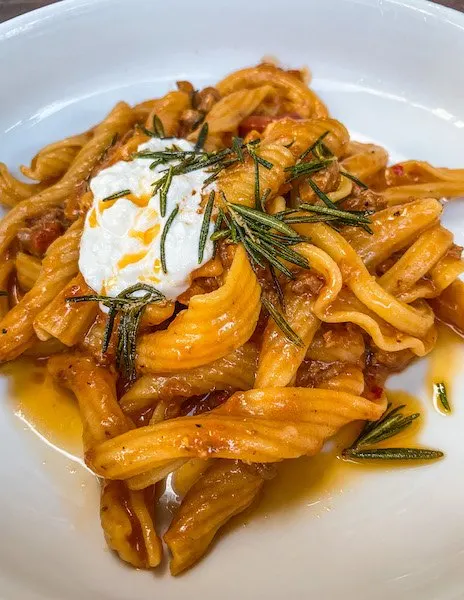 homemade torchetti pasta with a pork ragu