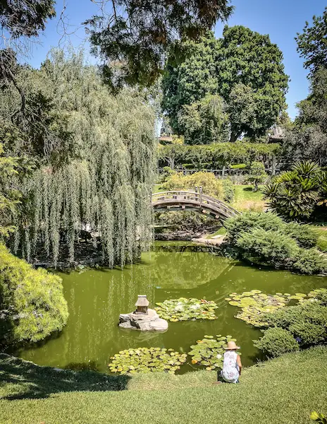 Whispering willing draping over the pond surrounded by grass and a wooden bridge going over the pond