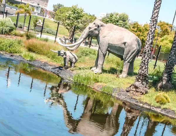 lake of tar and prehistoric elephants