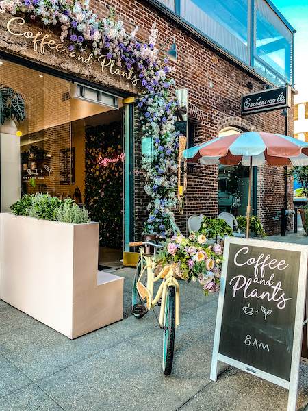 coffee and plants store front with a bicycle and flowers decorated around the entrace