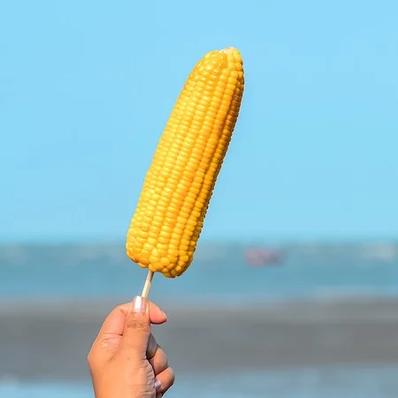 four grilled corn on the cobbs sitting on griddle