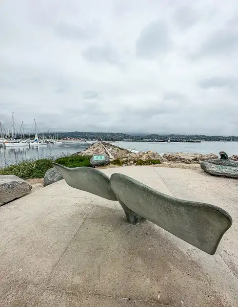 behind the bench shaped like a whale tail at point castillo in santa barbara