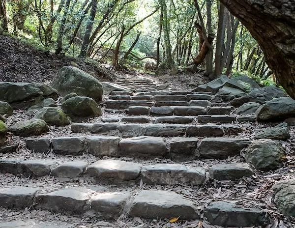 rocky stairs in a trail