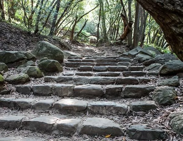 A stone stairway meanders through a tranquil, shaded with trees, leading hikers toward the destination of their nature walk.