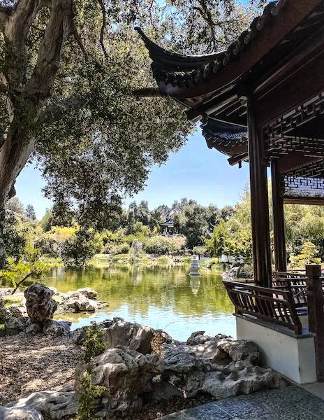 Peek of the pond from the chinese gardens