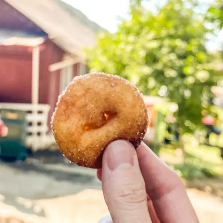 mini apple cider donut