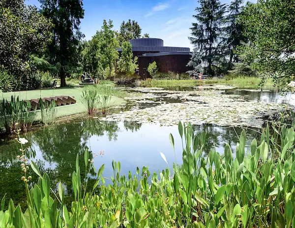 pond and garden at the norton simon museum