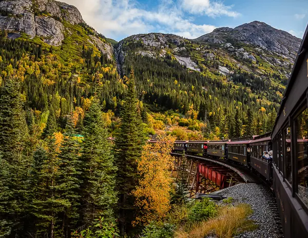 Train traveling along the White Pass and Yukon Route in Skagway, Alaska, surrounded by vibrant fall foliage with shades of gold, yellow, and green against a backdrop of rocky mountains and blue sky.