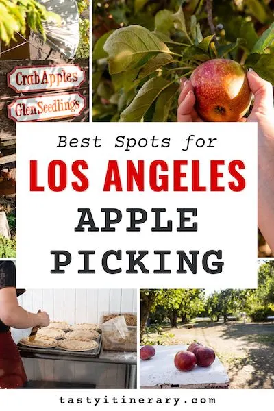 pinterest marketing image | apple picking in los angeles