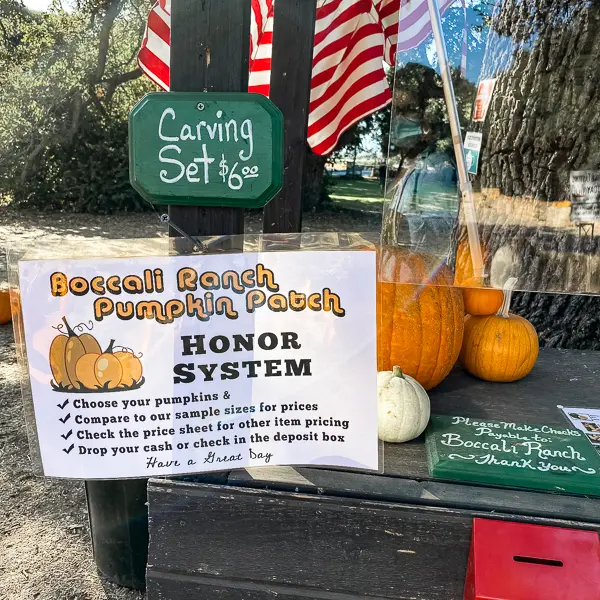 boccalis pumpkin patch honor system