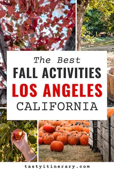 pinterest marketing image | fall in los angeles california